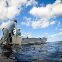 A Water Level Cheat Sheet for Florida's Upper St. Johns River