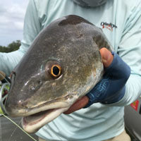 Saltwater Fly Fishing Comfortably Close