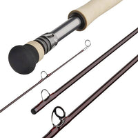 Rods and Reels