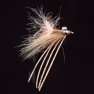 Arctic Bone - Shrimp