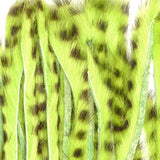 Rabbit Half Skin Zonked - Fluorescent Chartreuse