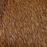 Elk Body Hair - Brown