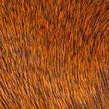 Elk Body Hair - Orange