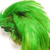 Golden Pheasant Crest - Highlander Green