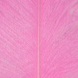 Ostrich Herl - Fl. Pink (OP510)
