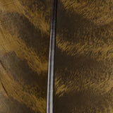Ozark Turkey Quill, Barred - Stonefly Brown