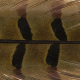 Ringneck Pheasant Tail Feathers - 1 Pair, Olive (PTP089)