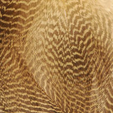 Gadwall Flank, Barred - Wood Duck (MBG147)