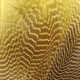 Gadwall Flank, Barred - Yellow (MBG006)