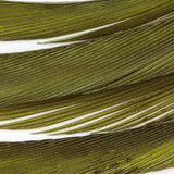 Goose Biots - Light Olive (SG060)