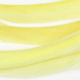 Goose Biots - Sulphur Yellow (SG286)