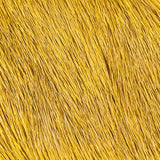 Elk Body Hair - Yellow (EBD006)