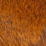 Elk Body Hair - Orange (EBD012)