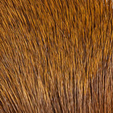 Elk Body Hair - Golden Brown (EBD050)