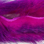 Purple/Fl Fuchsia