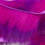 Purple/Fl Fuchsia