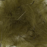 Cul-de-Canard - Olive