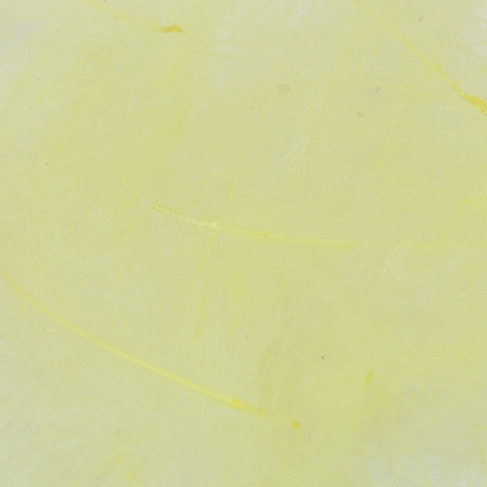 Cul-de-Canard - Light Yellow