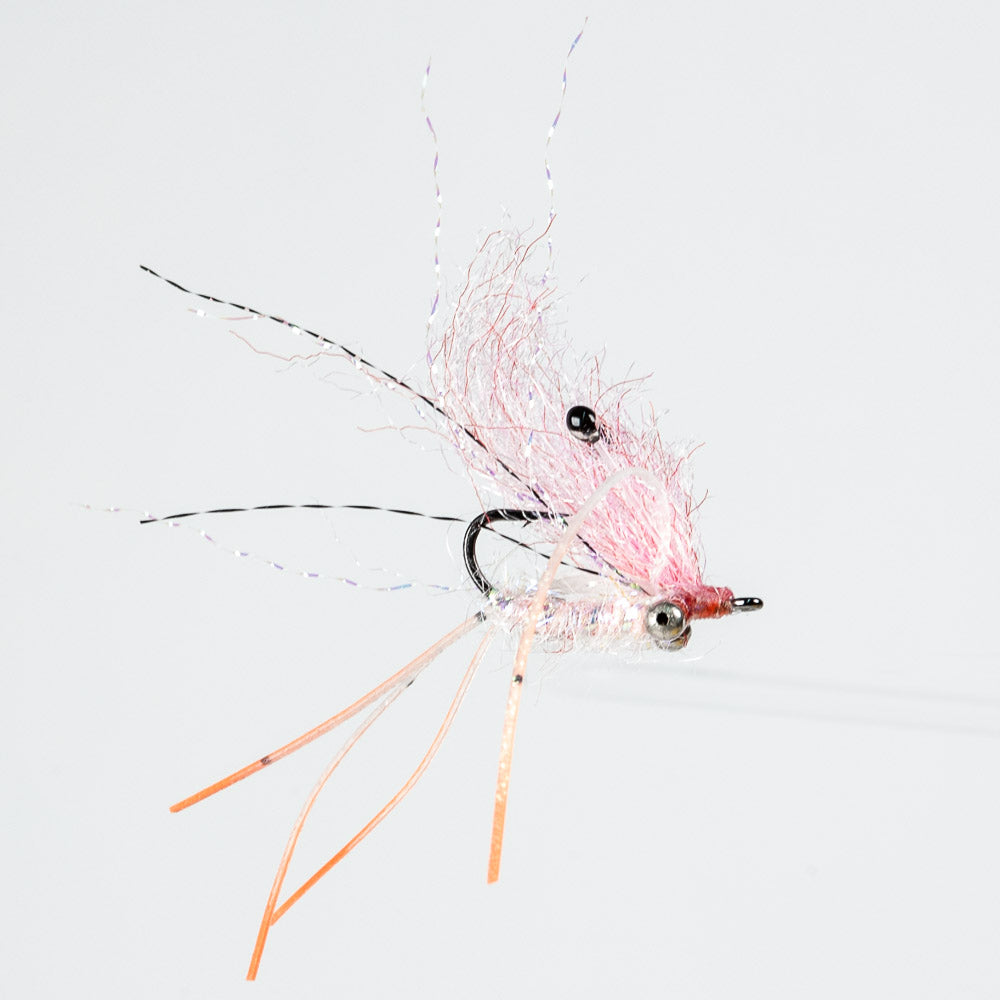 EP Ghost Shrimp - Pink, Bead Chain Eye