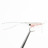 EP Grass Shrimp