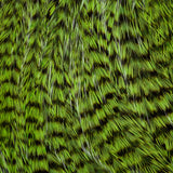 Ewing Deceiver Patch - Chartreuse/Grizzly