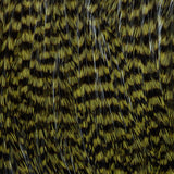 Ewing Deceiver Patch - Olive/Grizzly