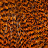 Ewing Deceiver Patch - Orange/Grizzly