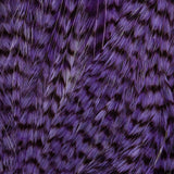 Ewing Deceiver Patch - Purple/Grizzly