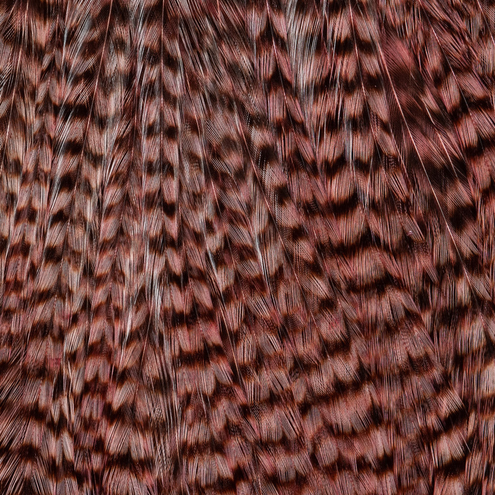 Ewing Deceiver Patch - Shimp Pink/Grizzly