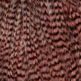 Ewing Deceiver Patch - Shimp Pink/Grizzly