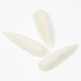 Foam Bug Bodies - White, Ant