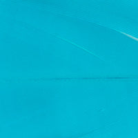 Goose Shoulder - Blue Teal