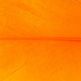 Goose Shoulder - Orange