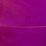 Goose Shoulder - Purple