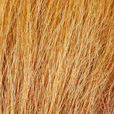 Squimpish Hair - Graham Cracker