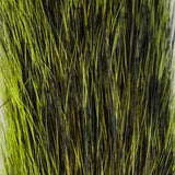 Squirrel Tail - Fl Chartreuse