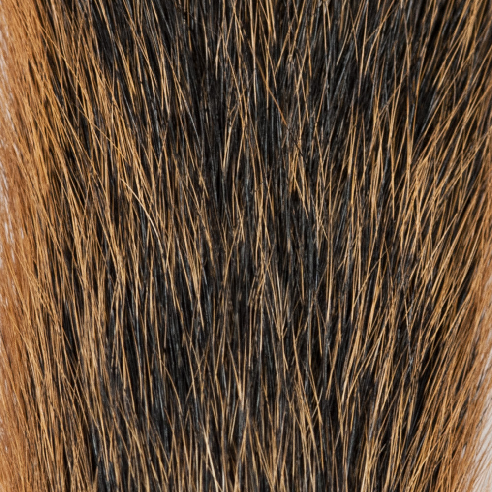 Squirrel Tail - Natural Fox