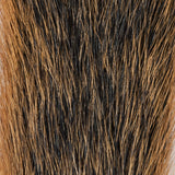 Squirrel Tail - Natural Fox