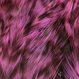 Neck Hackle, Strung - Barred Fluorescent Pink (NHB510)