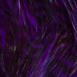 Neck Hackle, Strung - Barred Purple (NHB092)