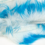 Blue/White