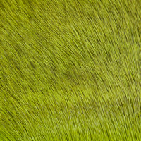 Deer Body Hair - Fluorescent Chartreuse