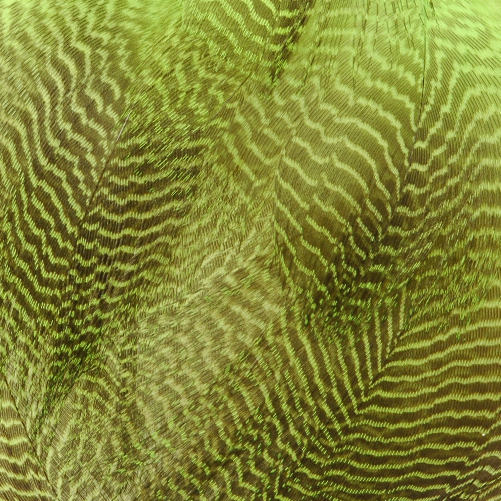 Gadwall Flank, Barred - Fluorescent Chartreuse