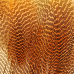 Fl Orange