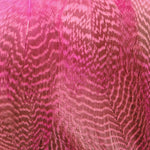 Fl Pink