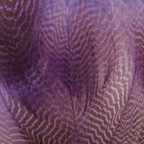 Gadwall Flank, Barred - Purple