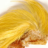 Golden Pheasant Crest - Natural
