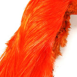 Golden Pheasant Crest - Hot Orange