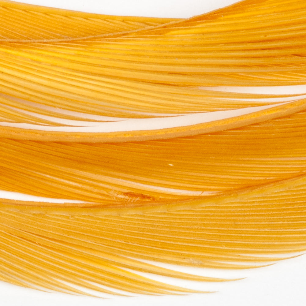 Goose Biots - Amber