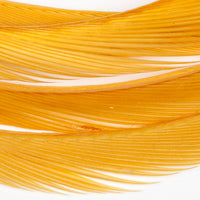 Goose Biots - Amber